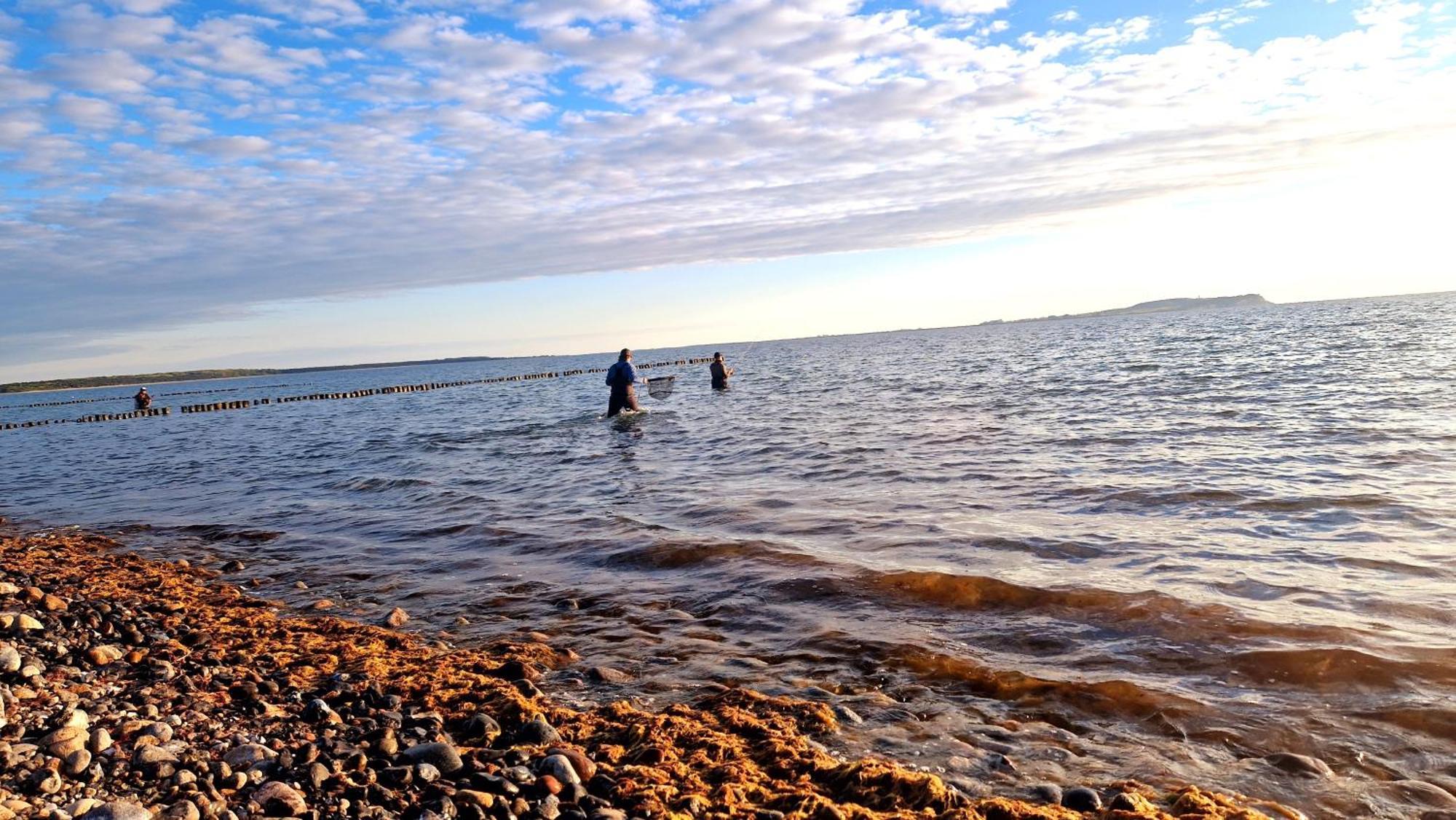 App 8O Grosser Tag Am Meer Mit Wasserblick Dranske Luaran gambar